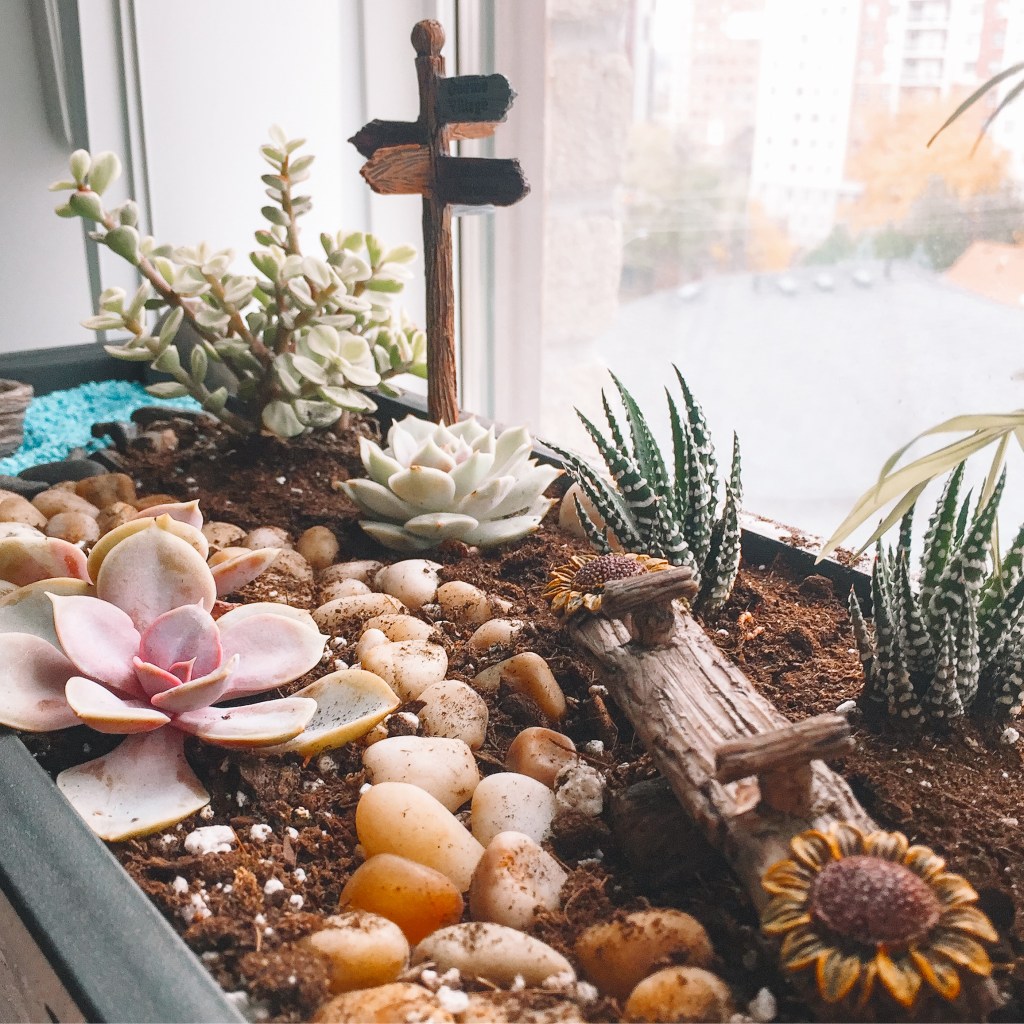mini garden with a pebble walkway, wooden direction sign, wooden teeter totter and succulents